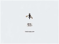 藏品(雙翅目)的圖片